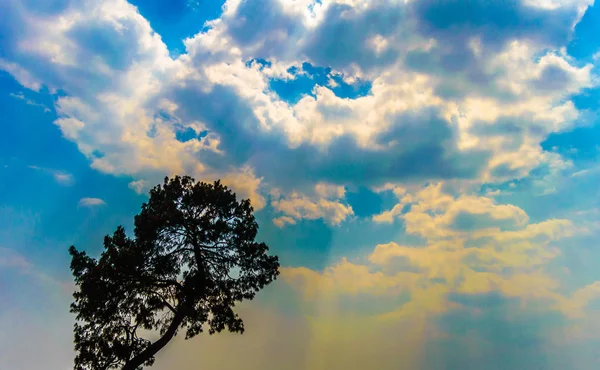 Фотография Силуэта Дерево Вершине Против Голубого Облачного Неба Облачный Солнечный — стоковое фото