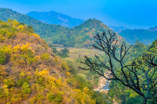 Árbol Silueta Colina Tomada Parte Superior Día Día Día Soleado —  Fotos de Stock