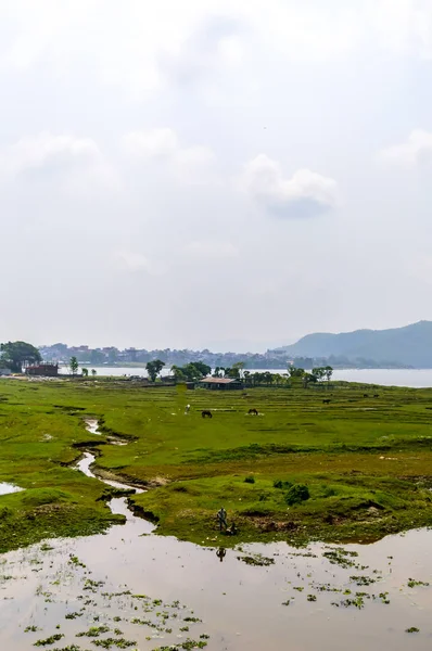 ネパールのカトマンズにあるポカラ湖の海岸の美しい夏の風景の写真 ポートレート ワイドスクリーンスタイルでスナップ ヴィンテージフィルムの外観 バケーション フリーダム シンプルコンセプト — ストック写真