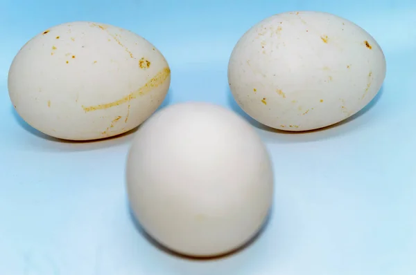 Yumurta Beyaz Bir Arka Plan Üzerinde Izole — Stok fotoğraf