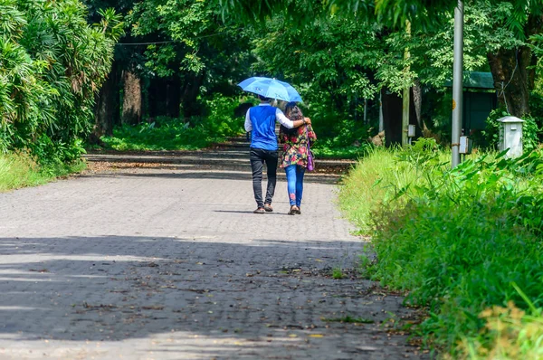 Nettes Paar Beim Spazierengehen Park Liebesbeziehung Und Dating Konzept — Stockfoto