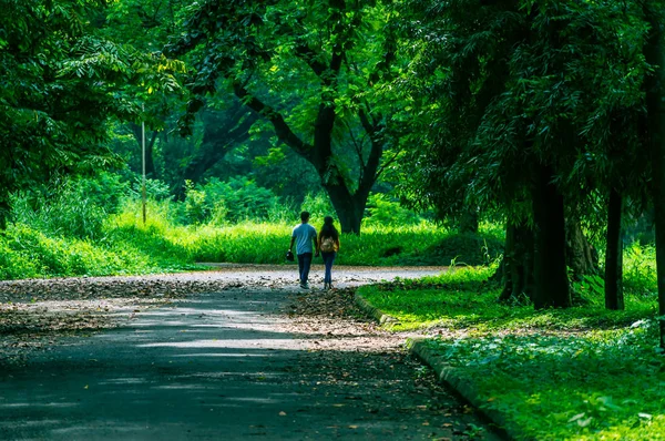 Happy Getrouwd Leuk Paar Wandelen Het Park Liefdesrelatie Dating Concept — Stockfoto