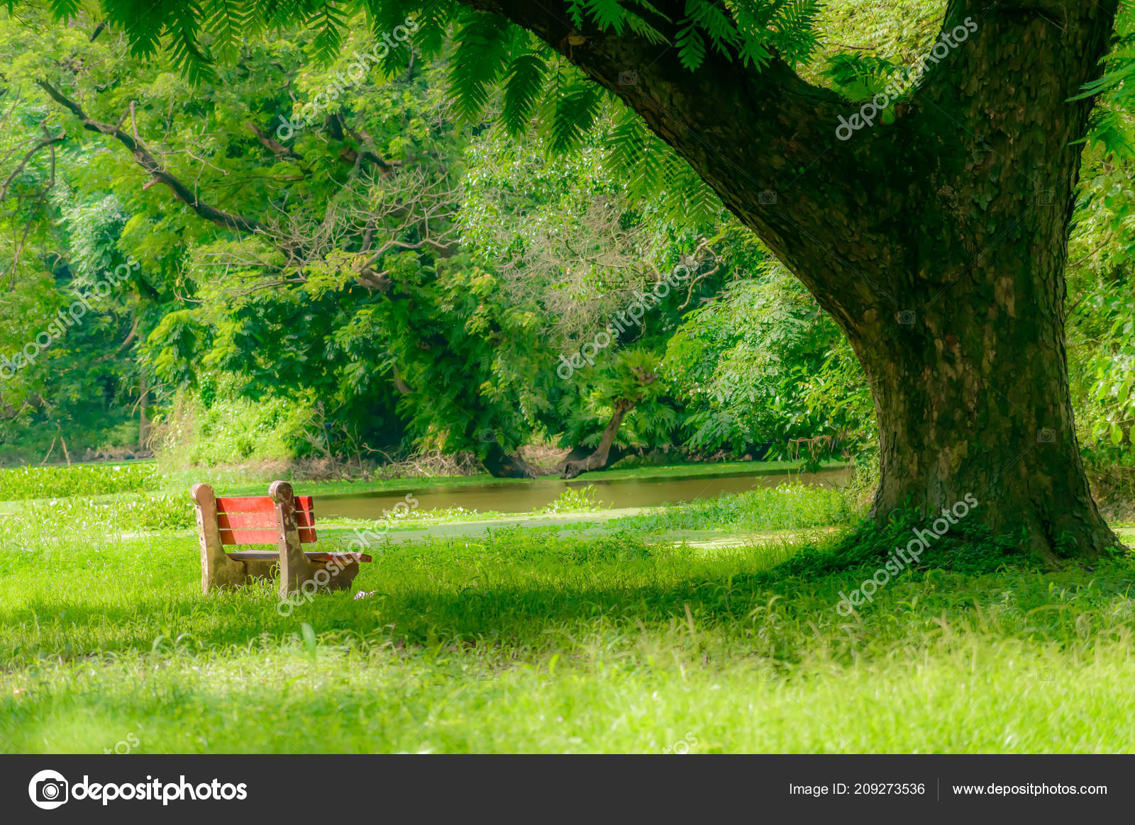 Banco Cor Vermelha Parque Outono Único Banco Parque Madeira Exuberante —  Foto © SB_Stock #209273536, image size:1600x1164
