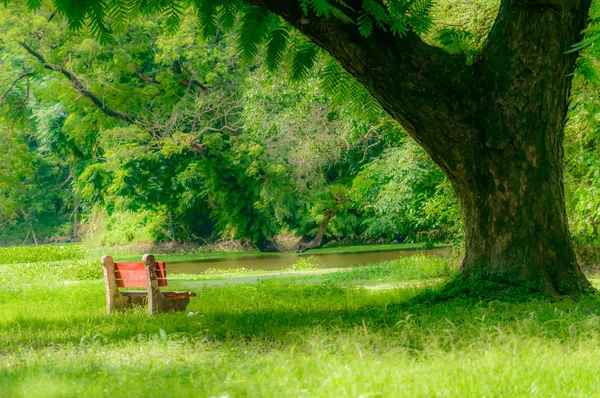 Bank Van Rode Kleur Herfst Park Enkele Houten Bankje Een — Stockfoto