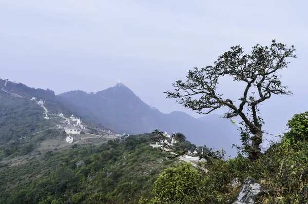 令人惊叹的景观与单一的树 绿色的夏天草甸与大树 Pareshnath 贾坎德邦 — 图库照片