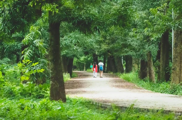 Retrato Dos Alegres Parejas Jóvenes Amorosas Caminando Verde Parque Otoño —  Fotos de Stock