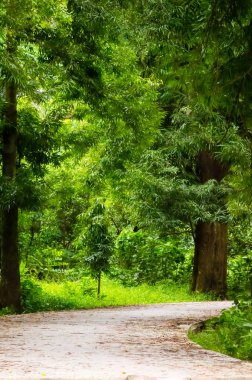 Resmi bahçe veya çim, görünümü manzara: ön veya arka bahçesinde mimari tasarım ya da bir konut konut yapı dış detay.