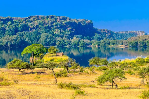 Jim Corbett Milli Parkı, Uttarakhand, Nainital, Hindistan Asya'nın iç görünüm. Kuzey Hindistan'da korumalı yaban hayatı kutsal olduğunu.