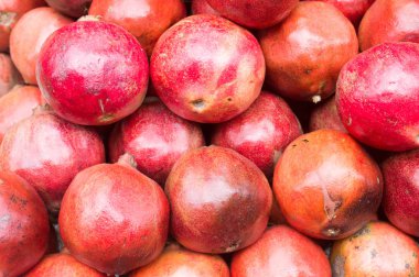 Nar meyve (Dalim) Botanik adı (Punica granatum) kapatın. Dikişsiz renkli soyut desen tasarım dekoratif unsur nesnesinin. Zemin, arka plan, doku veya dekorasyon konsepti.