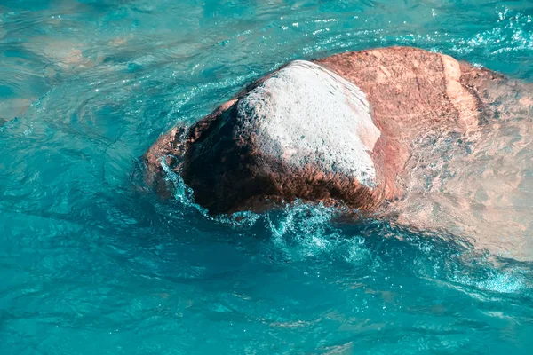 Θαλασσινό Νερό Συντρίβεται Μια Πέτρα Φύση Τοπίο Φόντο Closeup Υπαίθρια — Φωτογραφία Αρχείου