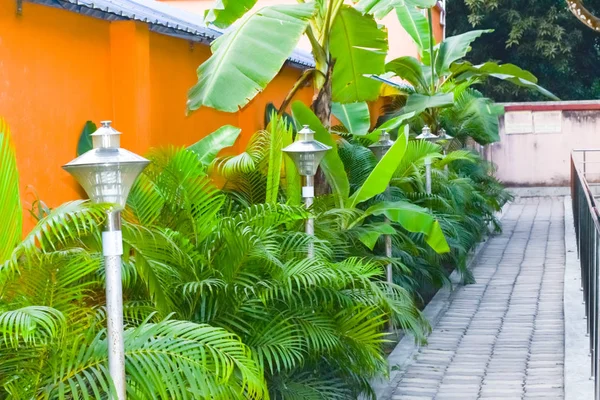 Jardin Magnifiquement Entretenu Avec Sentier Rocheux Décoré Des Plantes Ornementales — Photo