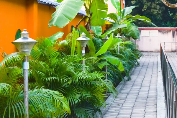 Jardin Magnifiquement Entretenu Avec Sentier Rocheux Décoré Des Plantes Ornementales — Photo