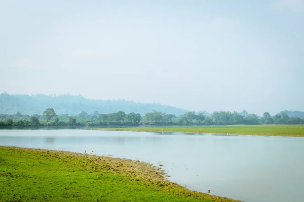 Innenansicht Des Kaziranga National Park Assam India Perfekter Ort Zum — Stockfoto