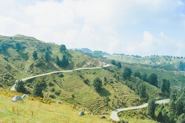 Paisaje Vista Panorámica Del Verde Campo Terrazas Hermosos Prados Amarillos — Foto de Stock