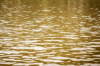 Güneş ışığını yansıtan güzel bir su deseni. Dalgalanmalar ve parlak gölgelerle dolu durgun su yüzeyi. Metin için boş kopyalama alanı.