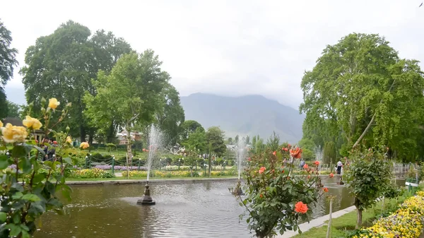 Shalimar Bagh Jardin Moghol Janvier 2019 Vue Intérieur Shalimar Bagh — Photo