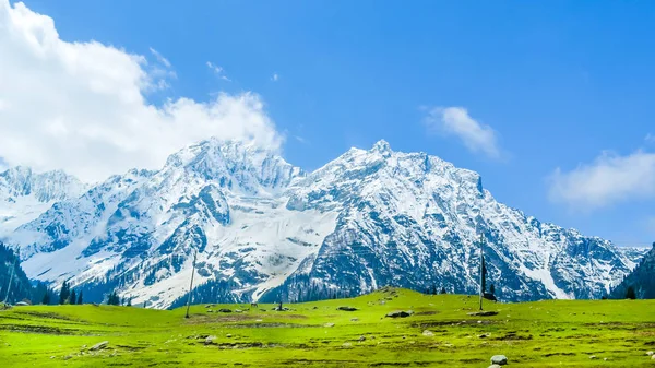 Geniş panoramik kar kaplı dağ tepe ve mavi gökyüzü bulutlu Baisaran Vadisi (Mini İsviçre), Pahalgam, Keşmir, Hindistan