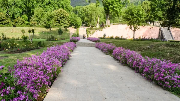 Précédent Yard Garden stone path fence with beautiful autumn flowers and grass growing up side of stone way. Jardinage autour de la maison avec une belle décoration. Tranquille vue sur tulipe verte Copier le texte de la pièce Espace — Photo