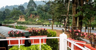 Verandadan bir tatil evinin ön bahçesi. Baharda çiçeklerle süslenmiş güzel romantik bir teras. Pelling Sikkim Hindistan himalaya dağ manzarası.