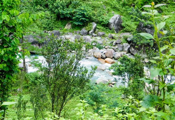 Main biflod till floden Teesta, den Rangit floden flyter genom en tät orörd djungel i nordöstra Rangpo Chu på Rangpo bosättning strax före Teesta Bridge vid ingången till East Sikkim. — Stockfoto