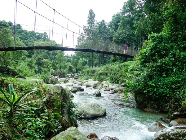 Jhalong Nehri üzerinde Suntalekhola (Samsing) köprü, Batı Bengal, Hindistan: Doğa yürüyüşü, trekking, hafta sonu aktivite ve vahşi tatil için turist için popüler Neora Vadisi milli parkı yakınında bulunan. — Stok fotoğraf