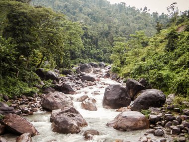 Teesta Nehri'nin ana kolu, Rangit nehri, Rangpo Chu'nun kuzeydoğusunda, Doğu Sikkim'in girişindeki Teesta köprüsünden hemen önce, rangpo Chu'nun kuzeydoğusundaki yoğun el değmemiş bir ormandan akan.