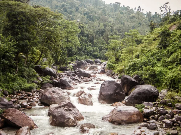 Κύριος παραπόταμος του ποταμού Teesta, ο ποταμός Rangit ρέει μέσα από μια πυκνή παρθένα ζούγκλα στα βορειοανατολικά του Rangit Chu στον οικισμό Rangit ακριβώς πριν από τη γέφυρα Teesta στην είσοδο του Ανατολικού Σικίμ. — Φωτογραφία Αρχείου