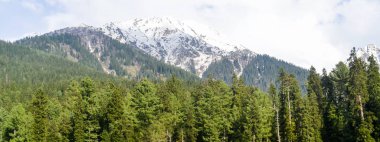 Kaşmir vadisinin çarpıcı fotoğrafı (Paradise on Earth). Kar dondurulmuş Himalayalar buzul dağlar ve yeşil köknar ve çam ağacı hattı orman manzara ile çevrili Yusmarg köyügüzel görünümü.
