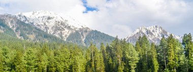 Kaşmir vadisinin çarpıcı fotoğrafı (Paradise on Earth). Kar dondurulmuş Himalayalar buzul dağları ve yeşil köknar ve çam ağacı hattı orman manzara ile çevrili Betaab Vadisi güzel görünümü.