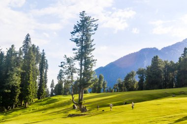 Kaşmir vadisinin çarpıcı fotoğrafı (Paradise on Earth). Kar dondurulmuş Himalayalar buzul dağları ve yeşil köknar ve çam ağacı hattı orman manzara ile çevrili Betaab Vadisi güzel görünümü.
