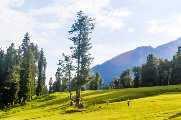 Impresionante fotografía del valle de Cachemira (Paraíso en la Tierra). Hermosa vista del valle de Betaab rodeado de montañas glaciares del Himalaya heladas por la nieve y paisaje forestal de abeto verde y pino . — Foto de Stock