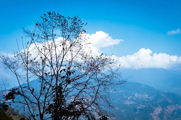 Árbol con cordillera del Himalaya. Nube de tormenta flotando en el cielo azul. Belleza de la naturaleza salvaje del este asiático indio. Paisaje de ensueño. Clima esponjoso. Tranquilidad pacífica, soledad y calma Imagen . —  Fotos de Stock