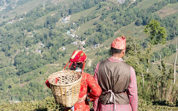 Hermosa pareja joven enamorada. Té indio puckers, pareja romántica mujer y hombre atrapados en la hora de verano en una terraza de montaña jardín de té en el Día del Trabajo - Fiesta de América del Norte. Assam Darjeeling India . — Foto de Stock