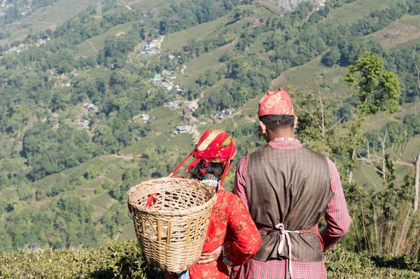 Hermosa pareja joven enamorada. Té indio puckers, pareja romántica mujer y hombre atrapados en la hora de verano en una terraza de montaña jardín de té en el Primero de Mayo - Día Internacional de los Trabajadores. Assam Darjeeling India. — Foto de Stock