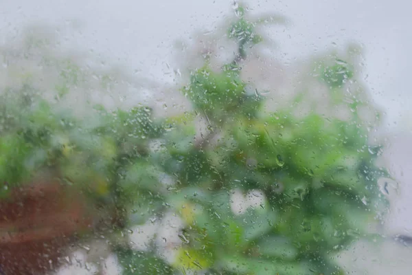 Rain Drops On Surface of wet Window Glass pane In Rainy Season. Abstract background. Natural Pattern of raindrops isolated from blurry tree in outdoor cloudy background. — Stock Photo, Image