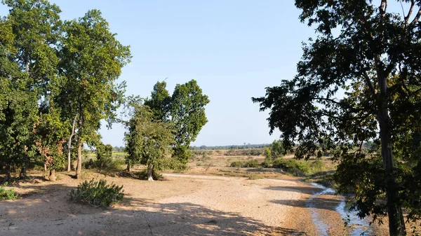 Vista da floresta tropical, Sal árvores e prados espalhados sobre as divisões florestais de Umaria e Katni no Parque Nacional Bandhavgarh durante uma viagem de carro . — Fotografia de Stock