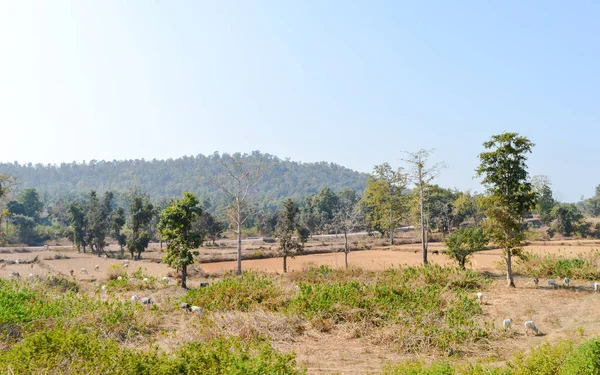 Landschaft von chhota nagpur semi ariden Plateau, der indo gangetischen Ebene im östlichen chhattisgarh von Indien. Es umfasst auch das Gebiet des Bundesstaates Jharkhand sowie Teile von Odisha, West Bengal, Bihar. — Stockfoto