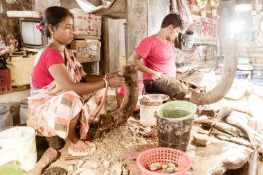 Garulia Fish Market, North 24 Parganas, West Bengal, India 1 May 2018 – Village people selling fish in Fish Market. Lady Fish Vendor using fixed curved knives to descale and cutting fish into pieces.