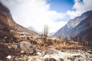 Resimli dağ vadisi manzarası bir yaz sabahı panoramik manzarası.