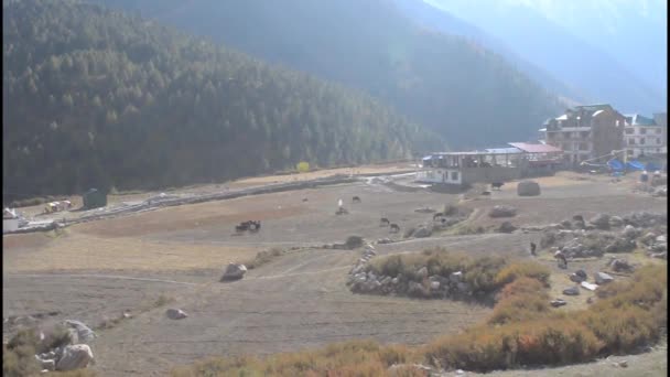 チクル村の風景 サングラバレーの最後の村のポイント インドの古いヒンズー チベット貿易ルート上の 22キヌア地区 バスパ川のほとりにヒマカル プラデシュ州Gangotrivalleyの風景 — ストック動画