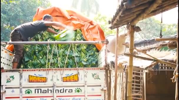 Mies Purkamassa Kaalia Autostaan Vihannestorilla Jinjira Bazar Kolkata Intia Etelä — kuvapankkivideo