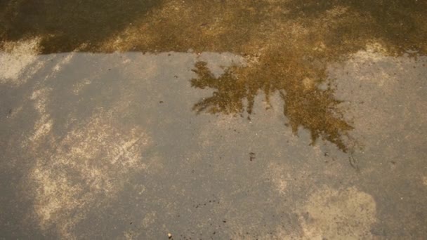 Vallende Regendruppels Het Wateroppervlak Regen Valt Grond Het Regenseizoen Regendruppels — Stockvideo