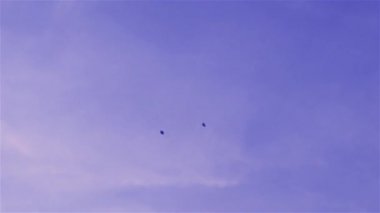 Uçurtma gökyüzünde uçuyor. Mavi gökyüzü ve beyaz bulutlarla uçan uçurtmalar. Görüntü Kolkata 'da Vishwakarma Puja arifesinde çekildi. Alçak melek görüntüsü. Hareket Bulanıklığı.