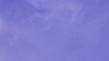 Uçurtma gökyüzünde uçuyor. Mavi gökyüzü ve beyaz bulutlarla uçan uçurtmalar. Görüntü Kolkata 'da Vishwakarma Puja arifesinde çekildi. Alçak melek görüntüsü. Hareket Bulanıklığı.