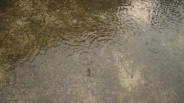 Muson yağmurları yere düşüyor. Beton çatı yüzeyine düşen Hafif Şiddetli Yağmur Damlaları video görüntüleri. Yağmur sesi efekti. Yağmur sesi. Yağmur mevsimi, doğa geçmişi. Kapat..