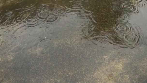 Mousson Pluie Tombant Sur Sol Légères Fortes Gouttes Pluie Tombant — Video