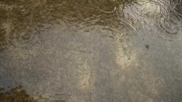 Муссонный Дождь Падает Землю Легкие Проливные Капли Падают Видео Поверхности — стоковое видео