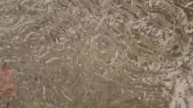 Muson yağmurları yere düşüyor. Hafif Şiddetli Yağmur Damlaları su yüzeyindeki video görüntülerine düşüyor. Yağmurlu gün muson yağmurları ve gök gürültüsü damlaları ses efekti. Doğa geçmişi. Kapat..