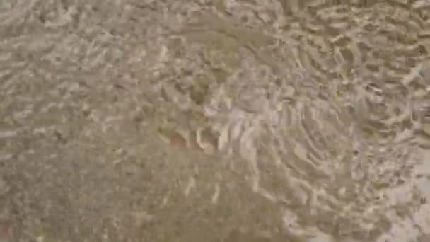 Монсонський Дощ Падає Землю Легкий Сильний Дощ Падає Відеозапис Поверхні — стокове відео