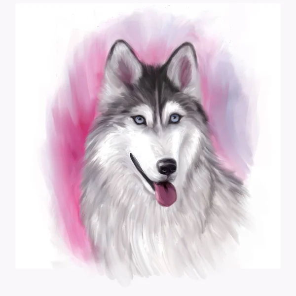 Portrait Husky Blue Eyed Dog Painting Illustration — Stock Photo, Image